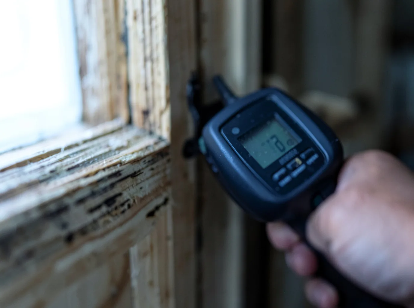 Commercial Water Damage Restoration in Flagstaff, AZ
